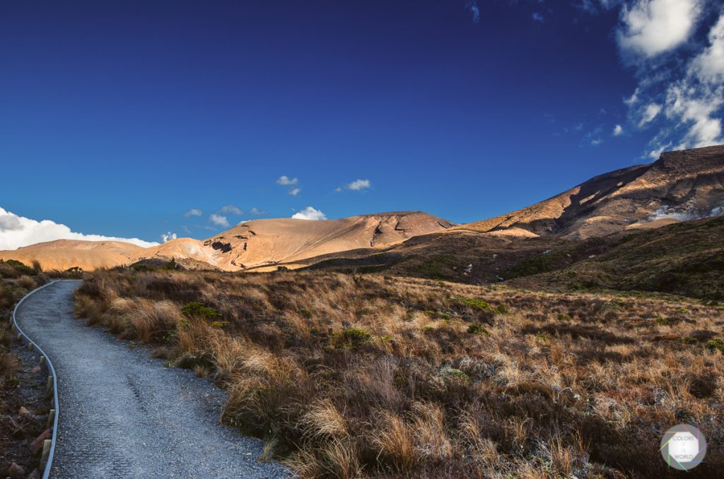 Tongariro Alpine Crossing - Weg 5